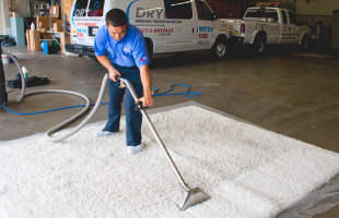 Organic San Francisco Carpet Cleaning Technicians Are Highly Trained and Certified