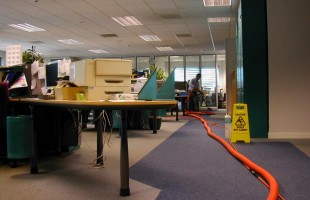Green Commercial Carpet Cleaning For Your Offices!